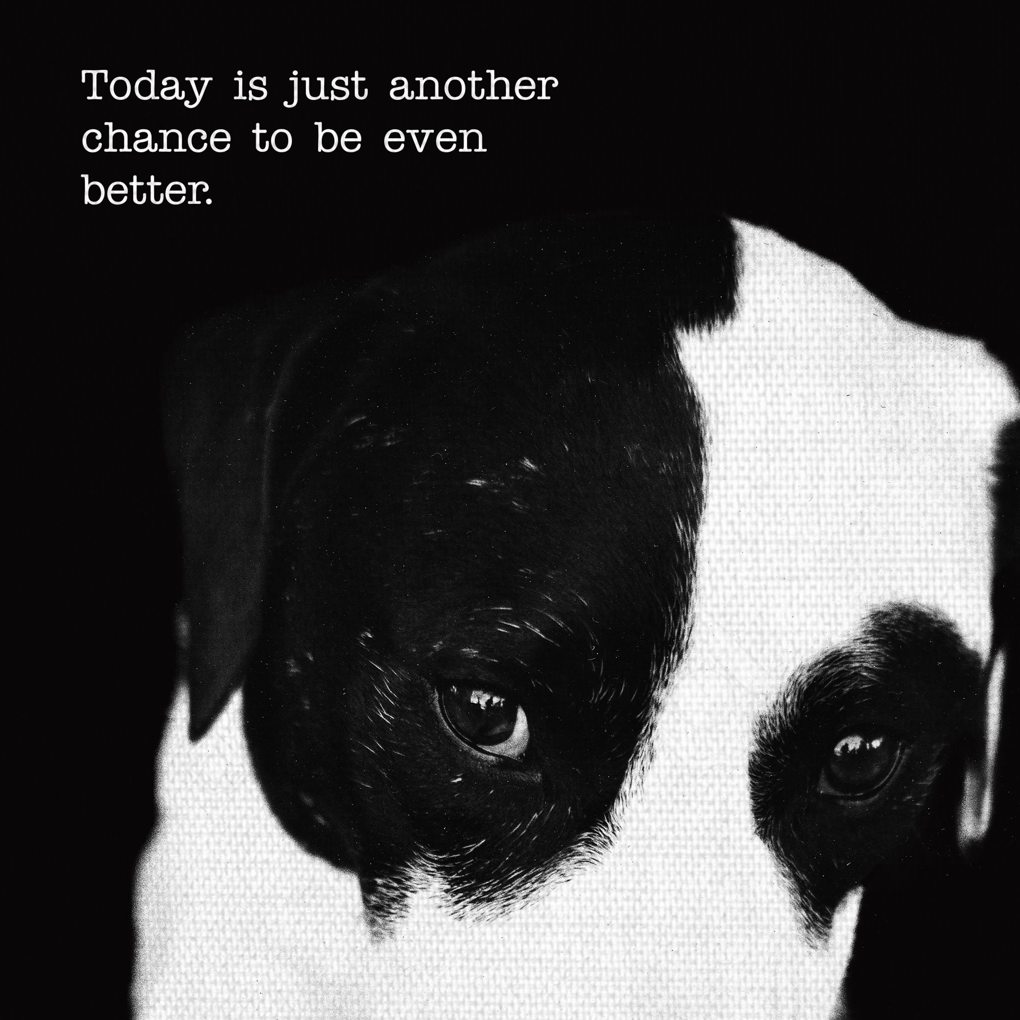 Masterpiece Art Gallery Petey The Dog By Frank Bruynbroek Canvas Art Print 16" x 20"