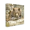 thumbnail image 4 of Stupell Industries Bear Resting on Log Animals & Insects Painting Gallery Wrapped Canvas Art Print Wall Art, 30 x 30, 4 of 8