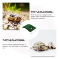 thumbnail image 4 of FRCOLOR Turtle Ramp 2Pcs Decorative Turtle Platforms Wear-resistant Basking Platforms Acrylic Turtle Docks,5.51"X3.15"X1.97", 4 of 5