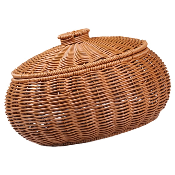 LULULION Storage Baskets Woven Baskets for Storage Dustproof Organization for Friends 1Pcs