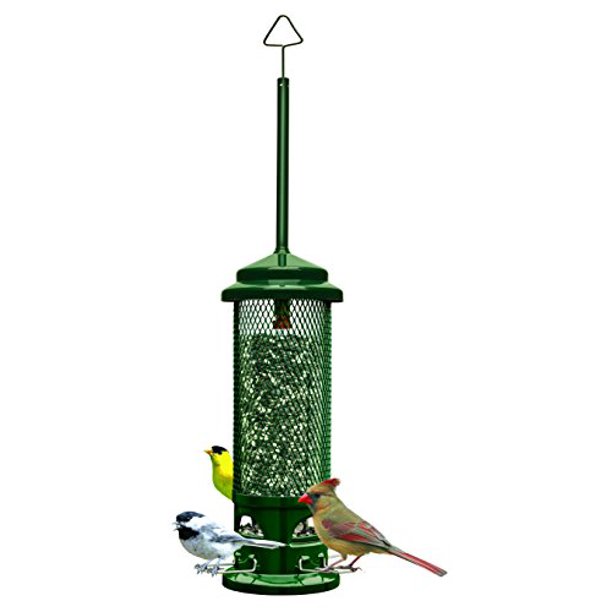 Squirrel Buster Legacy Squirrelproof Bird Feeder w/4 Metal Perches, 2.