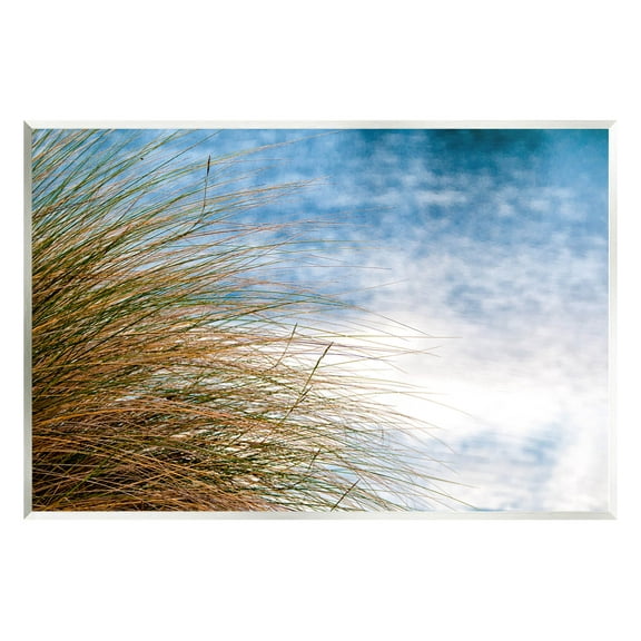 Stupell Industries Summer Beach Reed Grass Photography Photograph Unframed Art Print Wall Art, Design by Mary Lou Photography