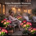 thumbnail image 2 of Rirool Solar Camellia Flower Garden Stake Lights, 7 Heads Outdoor Solar Lights Waterproof, Warm White Decorative Lights for Yard Lawn Patio Pathway, Pink 2 Pack, 2 of 8