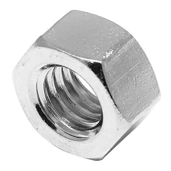 Foreverbolt Std,SStl,NL-19,1"-8,1 5/8x55/64",316,5PK FB3HEXN18P5