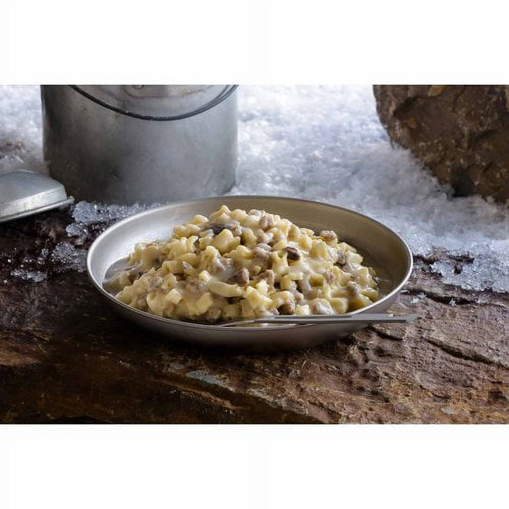 Mountain House Freeze-Dried Beef Stroganoff With Noodles - 2.5 Servings