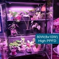 thumbnail image 2 of T5 Grow Lights, 5000K White Full Spectrum LED Grow Lights, 2ft 80W (8 x 10W) Plant Grow Lights for Indoor Plants, Plug and Play, 8-Pack, 2 of 16