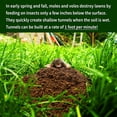 thumbnail image 5 of Nature's MACE Mole & Vole Repellent, 5 Gallon Pure Castor Oil Concentrate, Covers up to 100,000 Sq. ft, 5 of 8