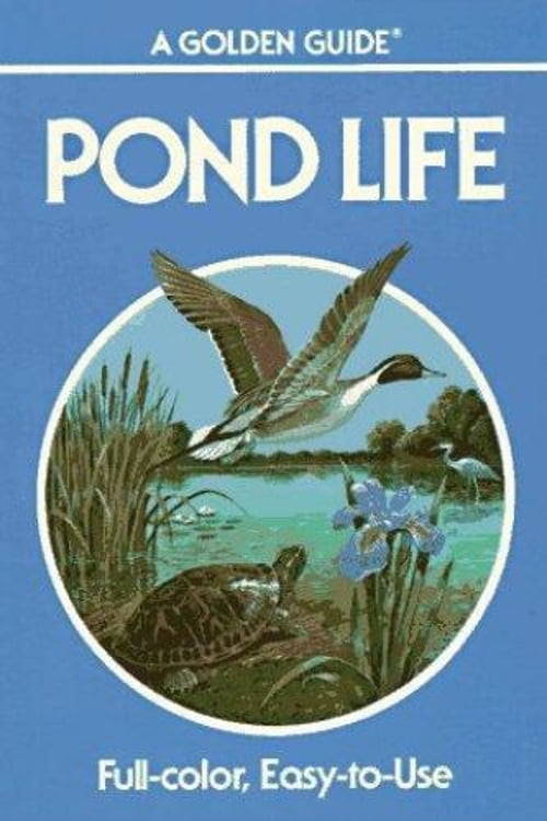 Pre-Owned Pond Life, 9780307240170, 0307240177, Paperback, 1 edition