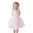 thumbnail image 2 of Little Girls Pink Organza Layered Glitter Rhinestone Flower Girl Dress 2, 2 of 2