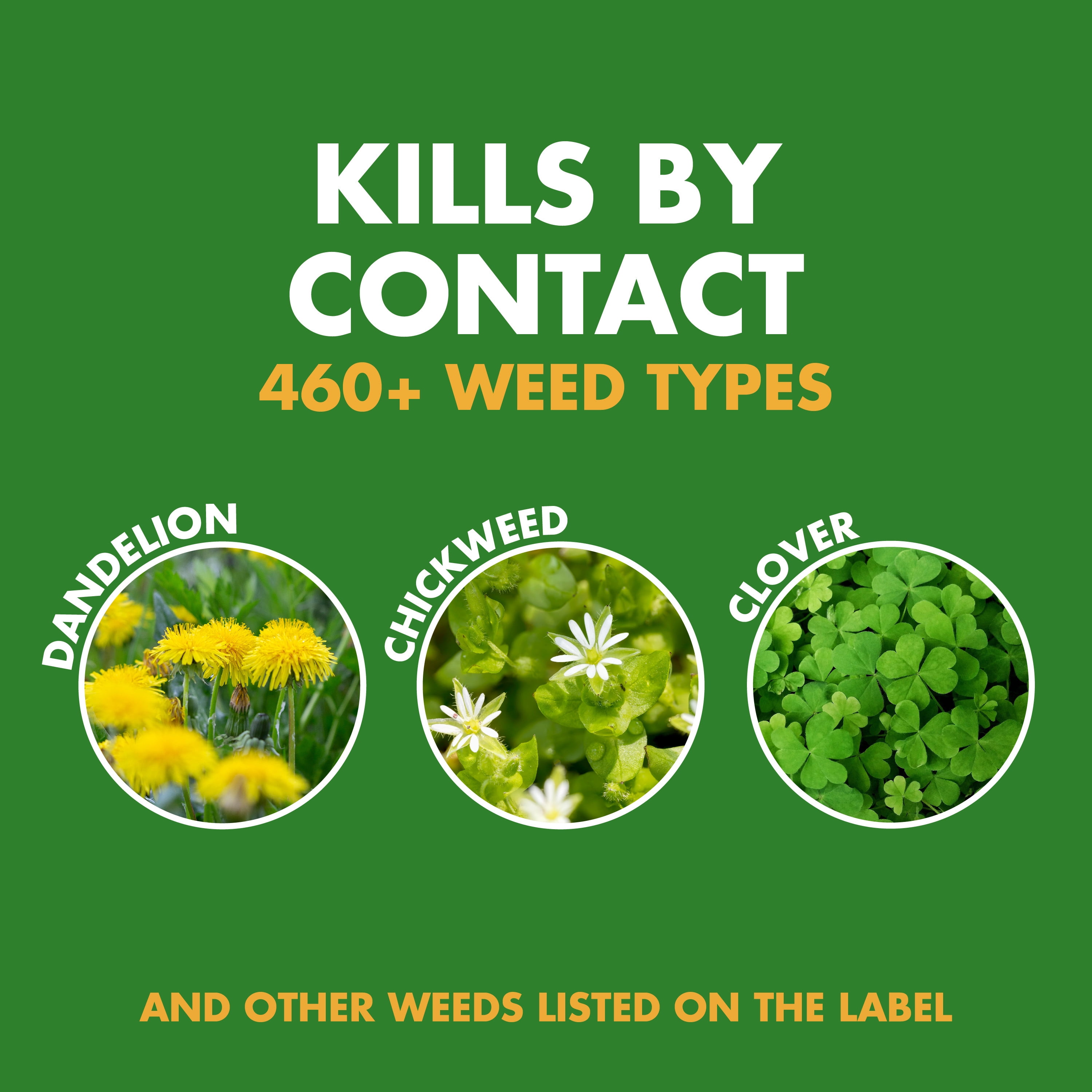 Spectracide Weed Stop for Lawns Concentrate, Kills Listed Broadleaf Weeds, 32 Ounces