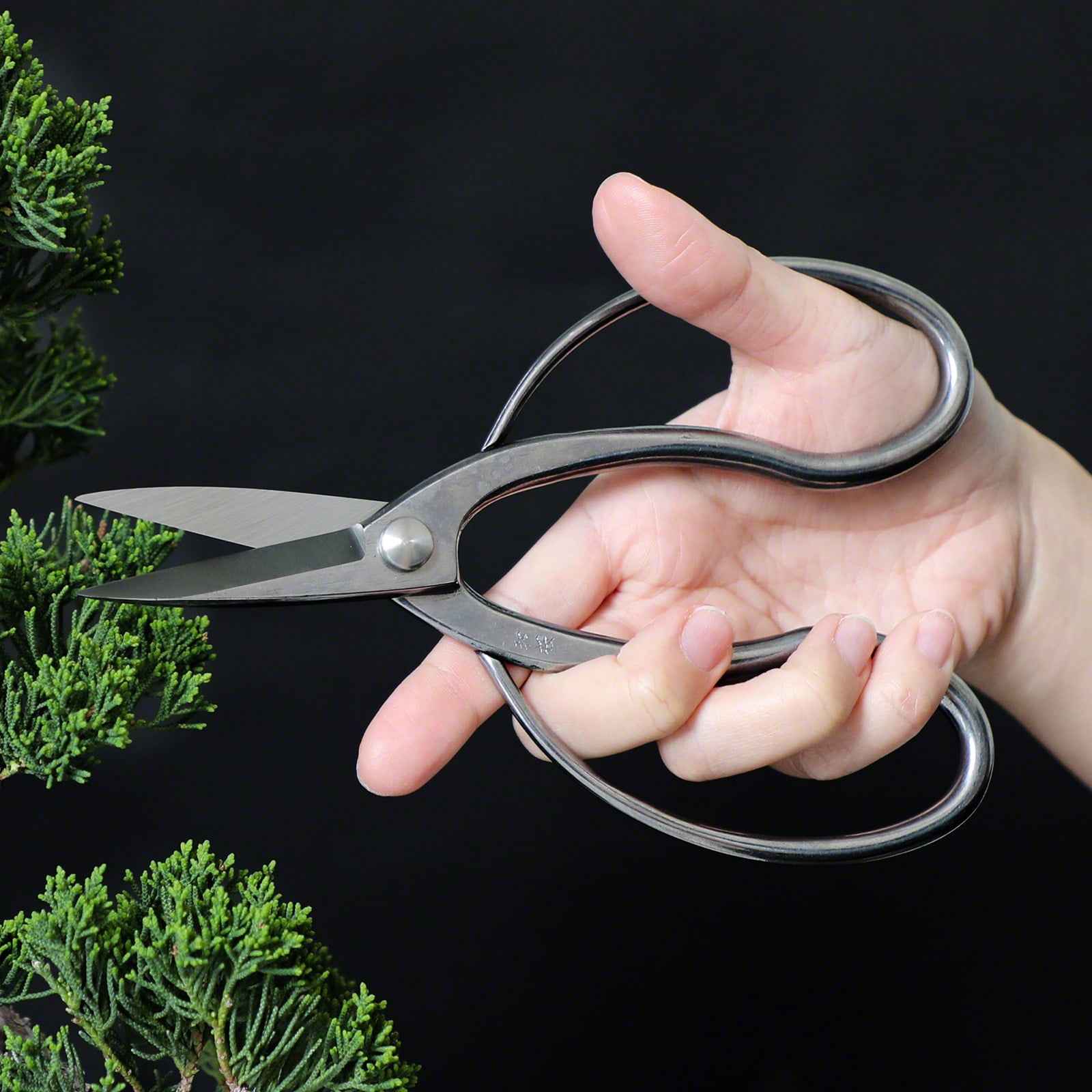 Wazakura Stainless Steel Made In Japan Traditional Bonsai Scissors 7"