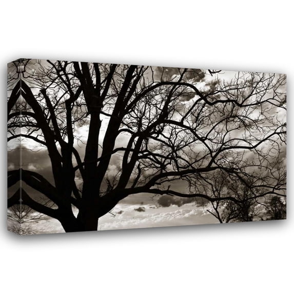 Alan Hausenflock 24x17 Gallery Wrapped Canvas Wall Art Titled - Approaching Storm II