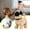 C, variant on Hopping Walking Bunby Realistic Puppy T-oy Puppy T-oy with Sounds, Wiggling Ears, Twitching Mouth and Nose, Educational Interactive Puppy Bunbi for B-aby, A