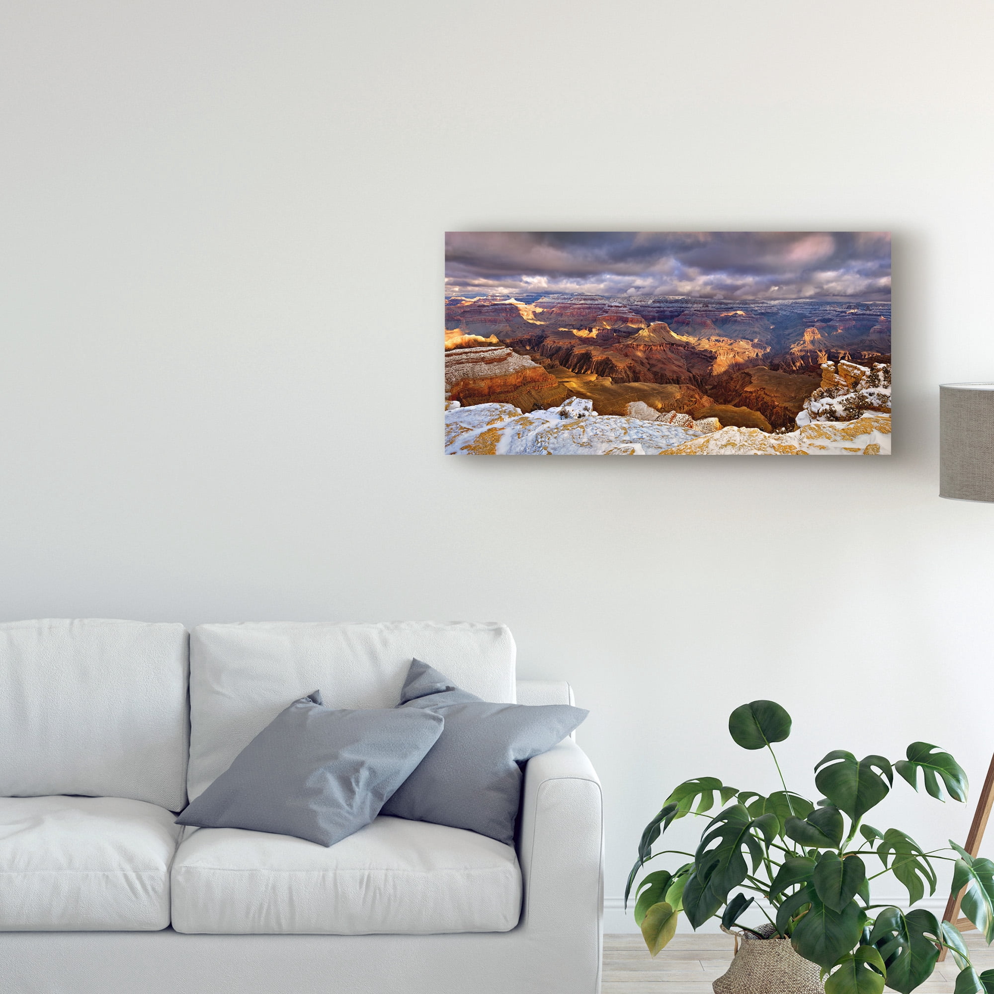 Trademark Fine Art 'Snowy Grand Canyon VI' Canvas Art by David Drost