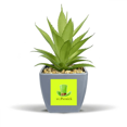 thumbnail image 1 of Irish Holy Patrick Day Protect Pot de Fleurs Ananas Faux Vase Mini Décor, 1 of 3