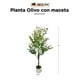 thumbnail image 4 of Árbol Olivo Planta Artificial Realista Con Maceta 1.2m, 4 of 5