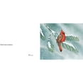 thumbnail image 2 of À Propos des Oiseaux, Cathryn Sill Paperback, 2 of 5