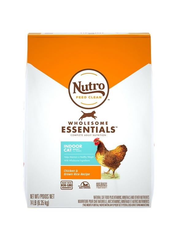 Dry Cat Food in Cat Food