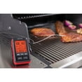 thumbnail image 2 of Onward Manufacturing Company GrillPro Leave-In Probe Side Table Thermometer 13925 — Residential Use, Standard Application, 2 of 5