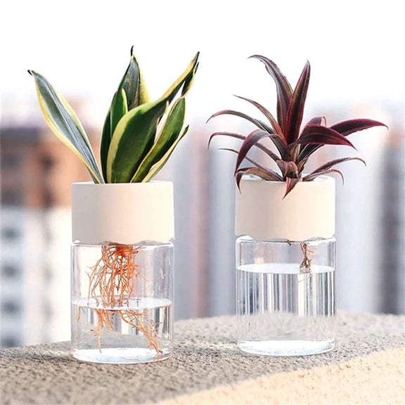 1 pc Self-Watering Planter, Clear Glass-Style Indoor Pot for Herbs & Succulents
