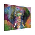 thumbnail image 2 of Richard Wallich 'Elephant 2' Multi Panel Art Set Large, 2 of 3