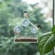 thumbnail image 4 of Alimentador de pájaros Acrílico Anti-ardilla Ventana transparente Alimentador de pájaros con ventosa potente Casa de pájaros transparente Patio de jardín exterior Feliz Sencillez, 4 of 5