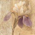 thumbnail image 2 of Brocade Iris - Wag Poster Print by Albena Hristova, 2 of 2