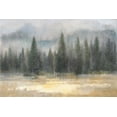 thumbnail image 2 of Nai, Danhui 32x23 Black Ornate Wood Framed with Double Matting Museum Art Print Titled - Misty Pines, 2 of 4