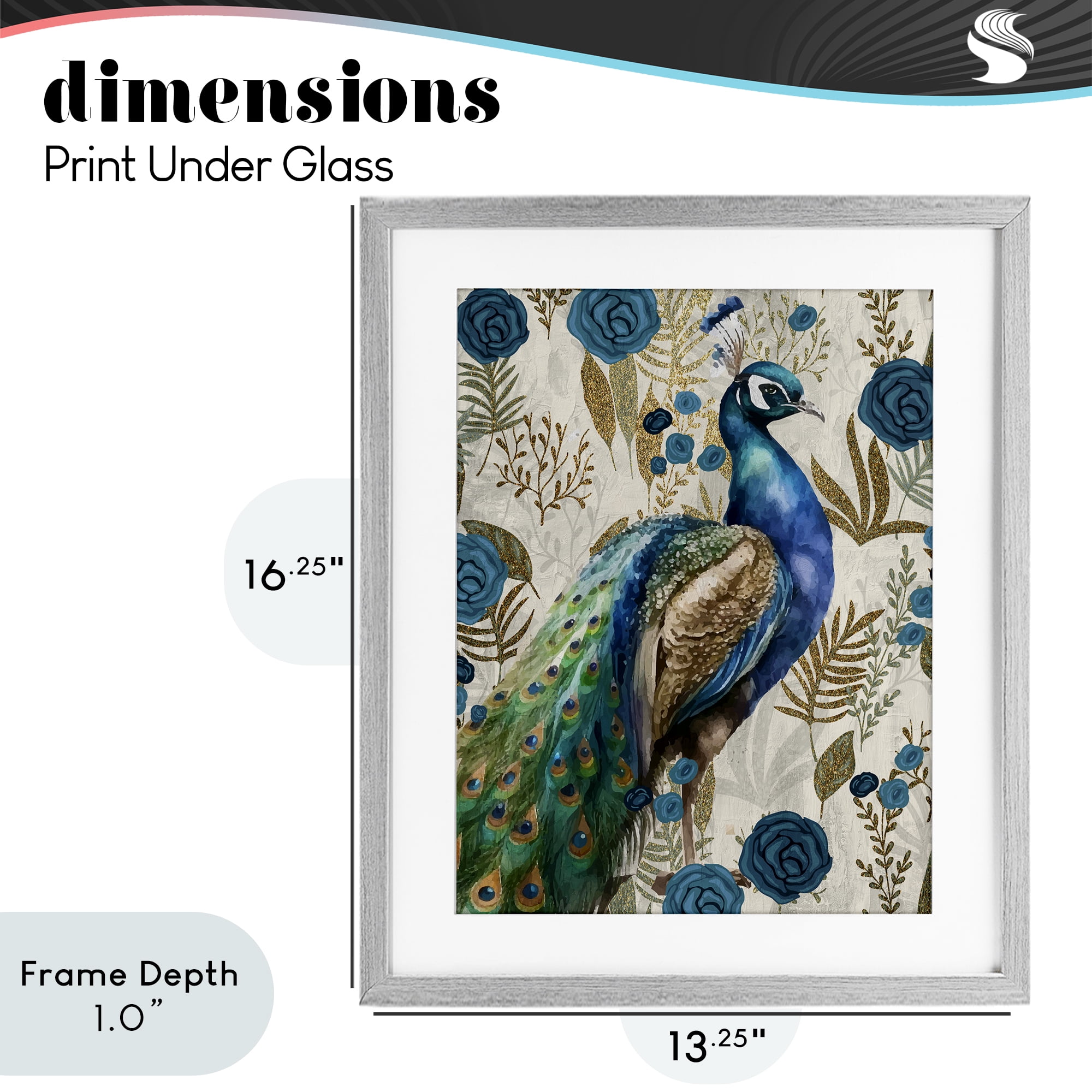 Stupell Industries Peacock Pride Botanicals Gray Framed Print Under Glass, design by Kim Allen
