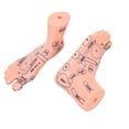 thumbnail image 3 of Foot Reflexology Model, Foot Acupuncture Teaching Model  Teaching Tool  For Family For School For Clinic For Hospital, 3 of 8