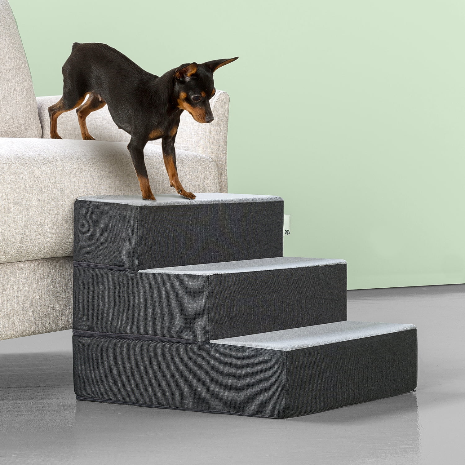 grey dog steps