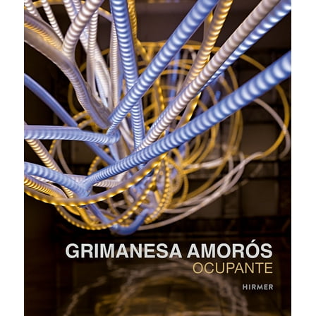 Grimanesa Amorós : Ocupante (Hardcover)