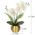 thumbnail image 4 of 13'' Orchids Artificial Flowers Small Potted Silk Phalaenopsis Fake Orchid White Flowers in Gold Ceramic Vase, 4 of 10