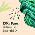 thumbnail image 5 of Plant Therapy Balsam Fir Essential Oil, 100% Pure, Undiluted, Natural Aromatherapy, 10 mL, 5 of 8