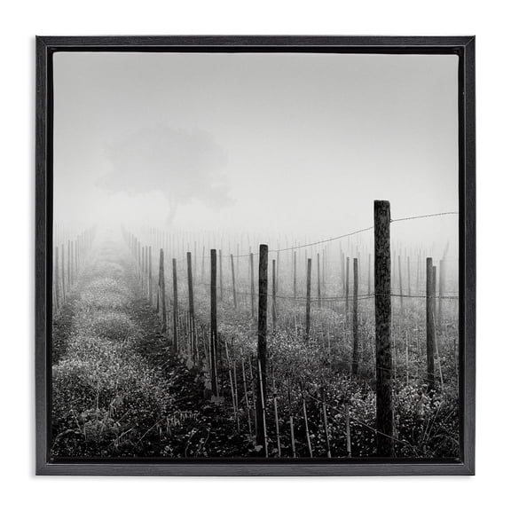 Stupell Industries Traditional Vineyard At Dawn Black Floating Frame Canvas Art, 18 x 18, by Chip Forelli