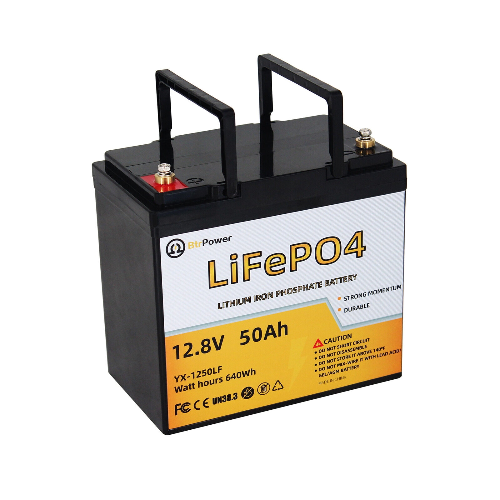 BtrPower 12V 50Ah LiFePO4 Lithium Iron Phosphate Battery Pack for RV