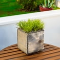 thumbnail image 4 of WGV Rustic Wood Planter Long Box - 4" Long x 4" Height, Good quality, Heavy Weighted Base - 1 Pc, 4 of 8