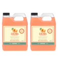 thumbnail image 1 of Fruits & Passion Cucina Peach and Mandarin Hand Soap 1L Refill- 2 pack, 1 of 8