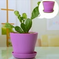 thumbnail image 6 of Diceymbol Mini Plastic Flower Pots with Saucers 4-Inch Colorful Easy-Care Plant Planters for Home & Office Small Modern Decor with Drainage Holes, 6 of 8