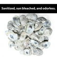 thumbnail image 2 of Natural Oyster Shells for Arts and Crafts with Holes at The top, Cleaned Unscented 20 Pieces per Pack. Not Polished or Sanded.  Various Sizes, 2 of 9