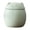 Green, variant on AFACUHX Ceramic Cat Design Tea Canister with Lid 180ml Mini Storage Jar for Tea Coffee Herb Sugar Spice Protective and Airtight for Home Kitchen Decor