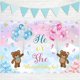 thumbnail image 2 of Boy or Girl Banner Bear Theme He or She Gender Reveal Backdrop Blue Pink Gender Reveal Photography Background What Will Baby Be Baby Shower Party Deco, 2 of 4