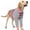Pink, variant on Dog Recovery Sleeve with Elbow Protector,Dogs Shirt Stop Licking Joints,Pet Long Sleeve Suit Protecting Dog's Front Leg Arm Wounds Cover Skin Conditions Pink Stripes