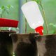 thumbnail image 4 of IDEANATEGRATE 6Ud Auto Portátil Y Reutilizable Para Plantas Interiores Y Exteriores Color, 4 of 8
