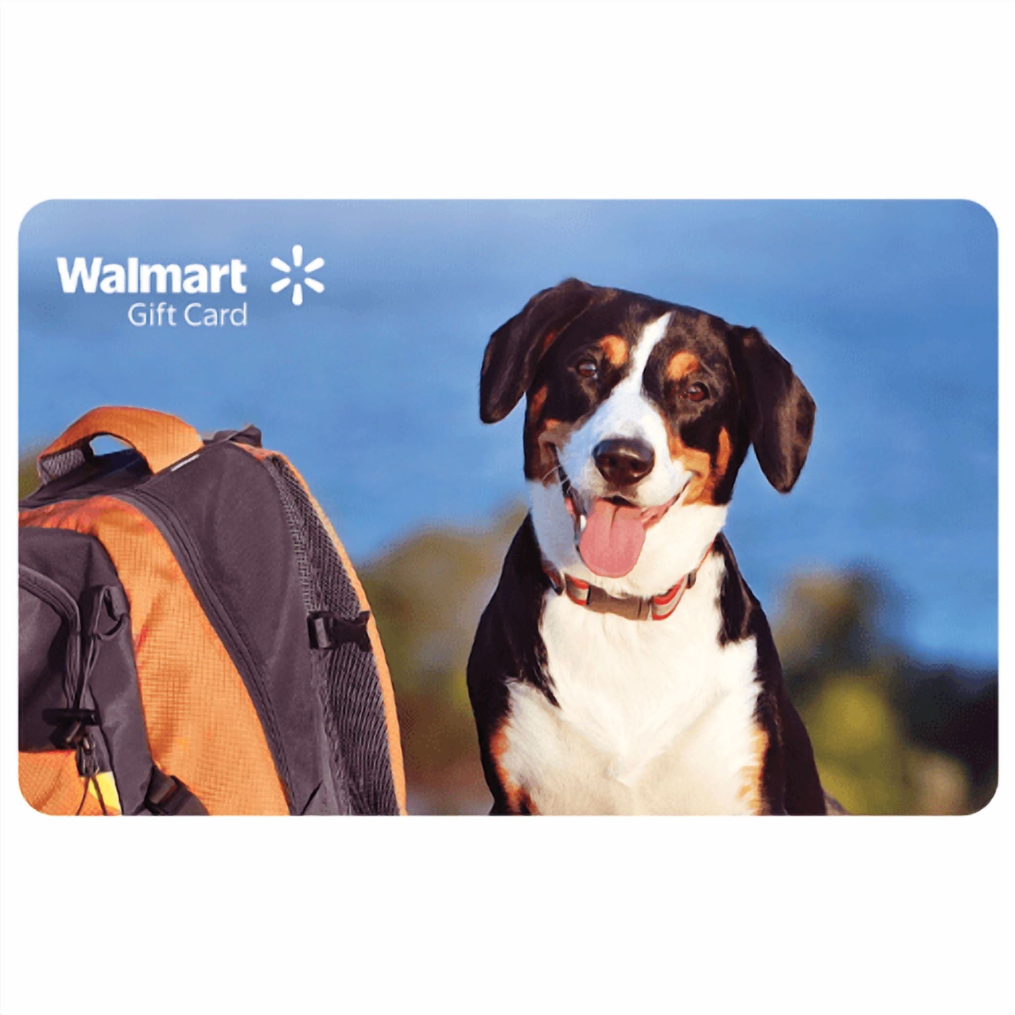 Adventurous Pup Walmart eGift Card [Email Delivery]