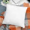 thumbnail image 4 of Home Soft Things Fauxfur Pillow Shell Set 20'X20" Deep Lake, 4 of 5