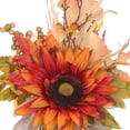 thumbnail image 5 of Récolte Pl en pot Floral-Orange tournesol, 5 of 5