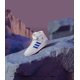 thumbnail image 4 of Adi - das Forum Mid White Blue Bird 2021 - Size M 7.5 W 9, 4 of 5