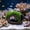 🔥 Multicolor M_New, variant on onlyliua Aquarium Moss Wine Barrel Hiding Cave Resin Ornament Realistic Moss-Covered Fish And Shrimp Shelter Decorative Underwater Cave For Aquariums And Tank Landscaping Aquarium Decor Fish Tank