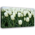thumbnail image 1 of Dana Styber 32x23 Gallery Wrapped Canvas Wall Art Titled - White Tulips I, 1 of 4